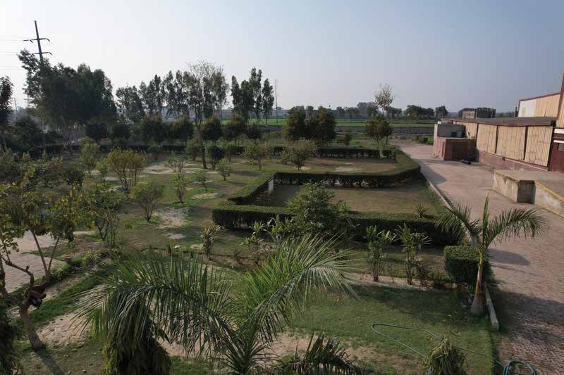 Landscaped green area